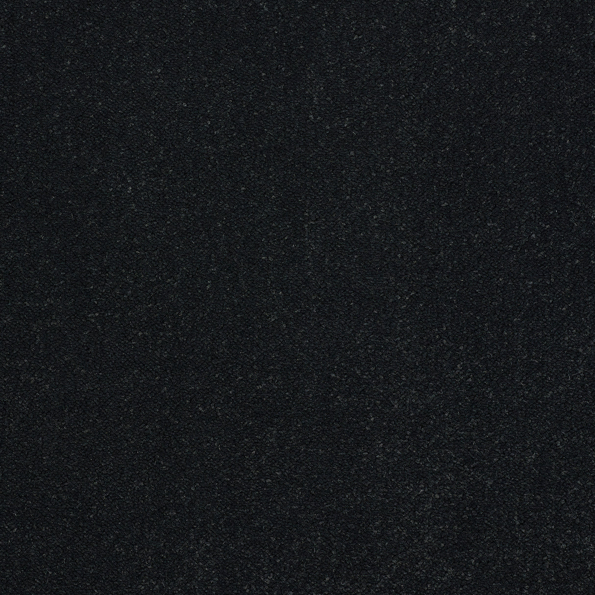 Abingdon Pure Elegance - Black Raven Carpet