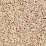 Abingdon Wild Silk - Pebble Beach Carpet