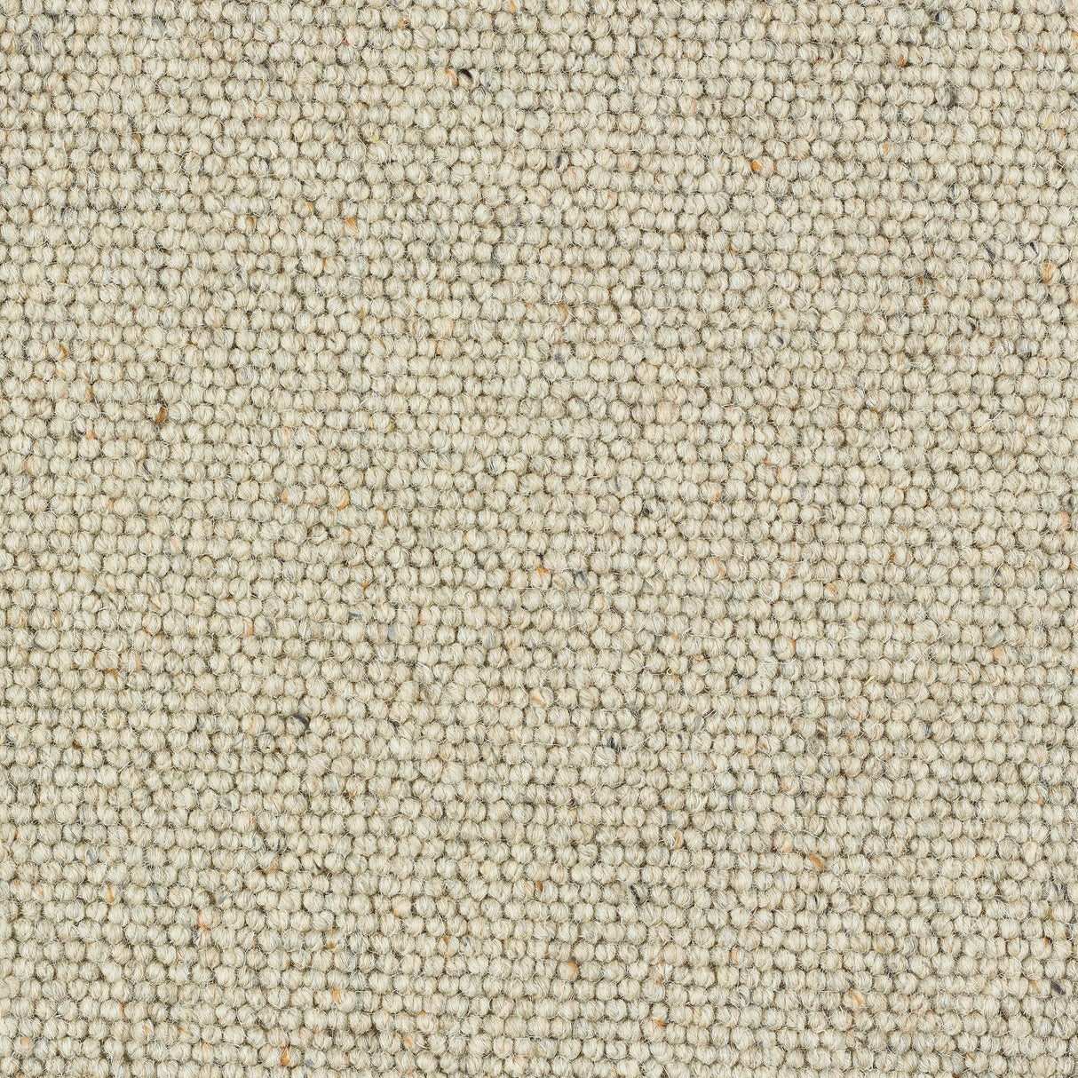 Abingdon Charter Berber Loop - Nutmeg Carpet