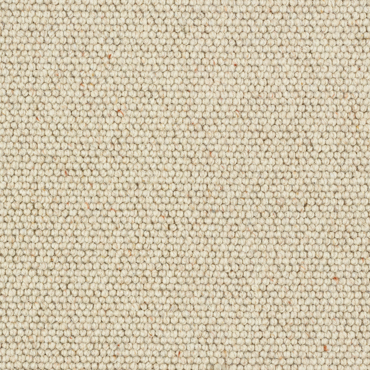 Abingdon Charter Berber Loop - Irish Cream Carpet