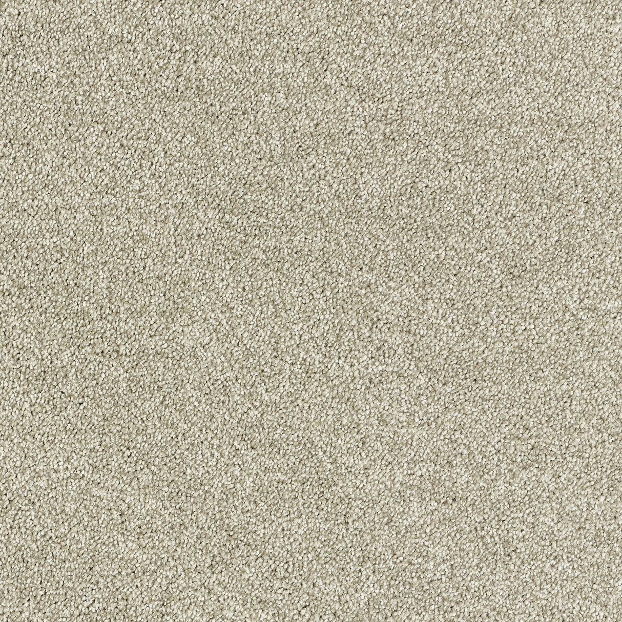 Abingdon Deep Feelings - Truffle Carpet