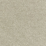 Abingdon Deep Feelings - Truffle Carpet