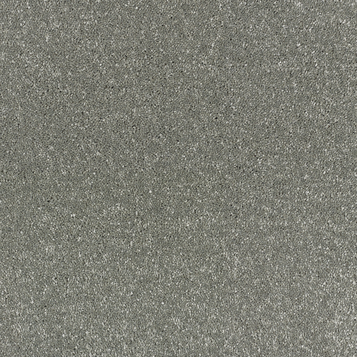 Abingdon Stainfree Satin Touch - Brocade Carpet