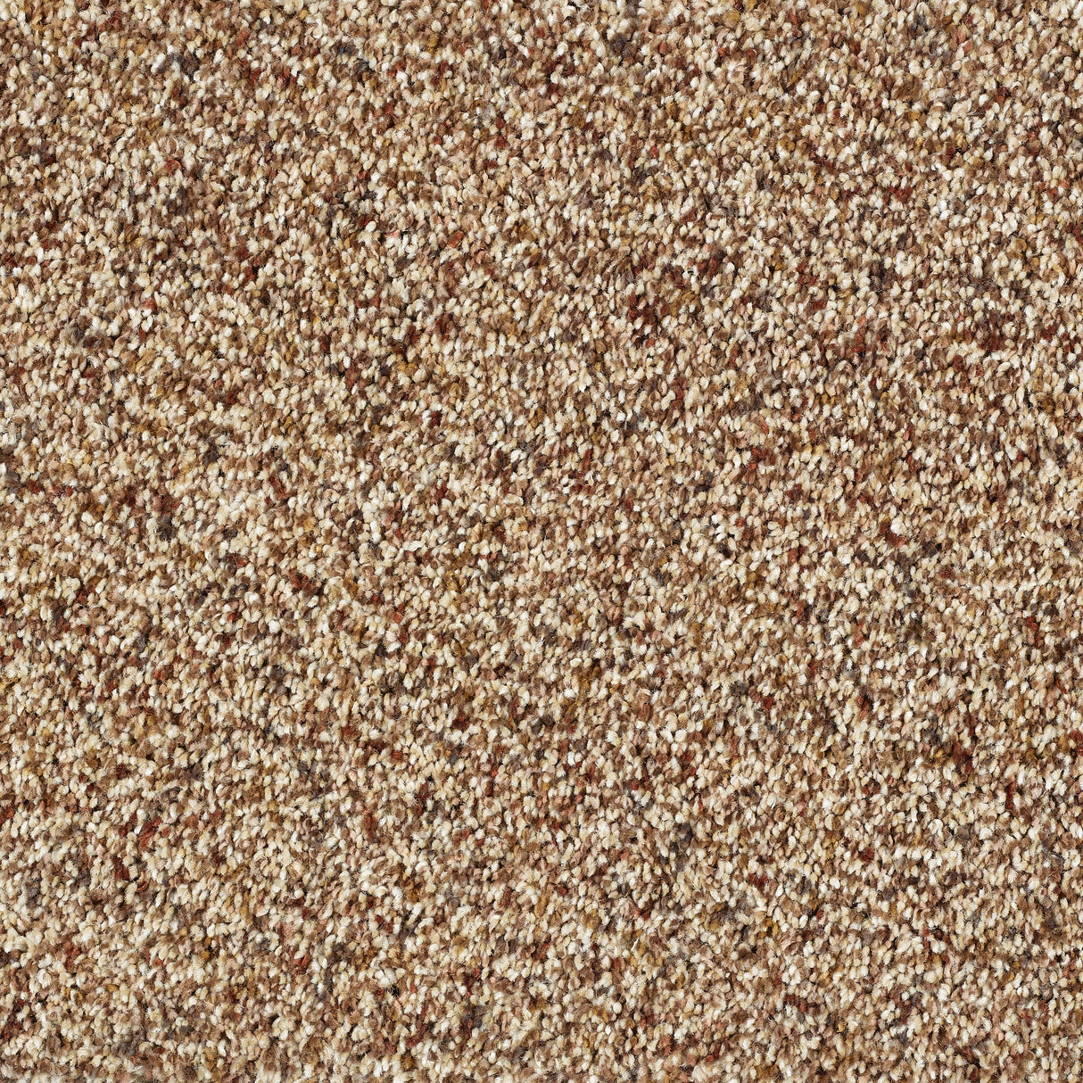 Abingdon Wild Silk - Cinnamon Carpet