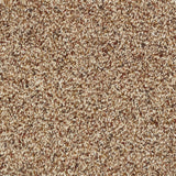 Abingdon Wild Silk - Cinnamon Carpet