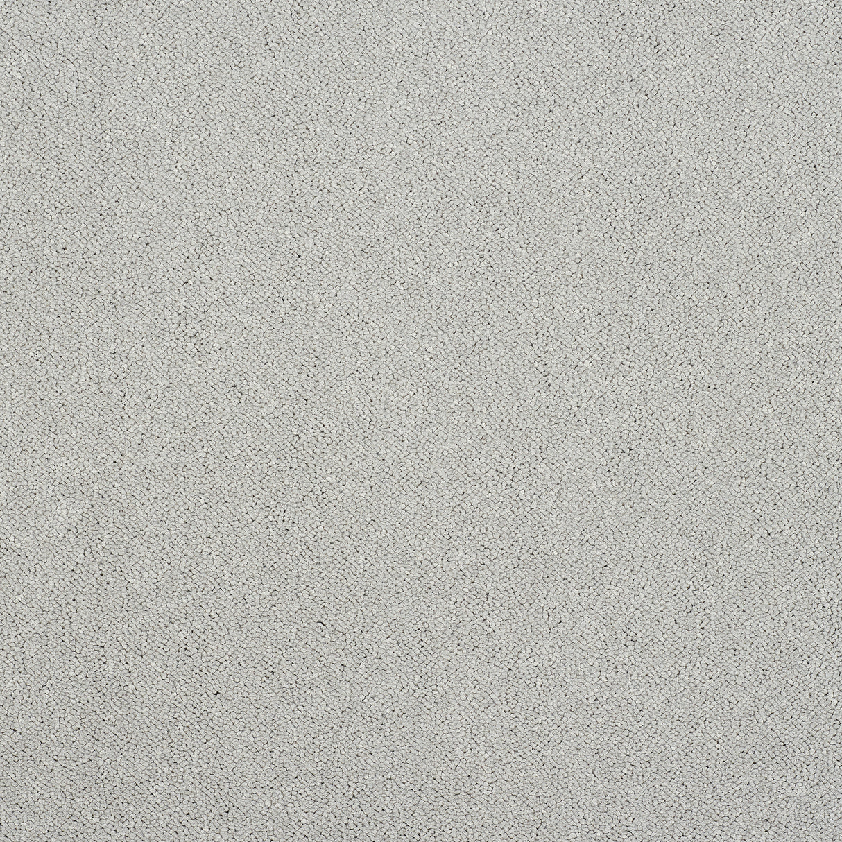 Abingdon Pure Elegance - Tundra Frost - 4m x 4.90m Carpet Remnant