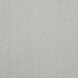 Abingdon Pure Elegance - Tundra Frost - 4m x 4.90m Carpet Remnant