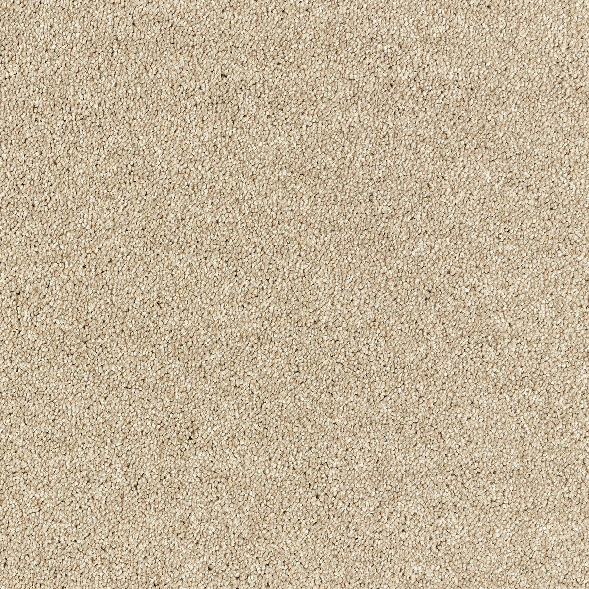 Abingdon Deep Feelings - Pashmina Carpet