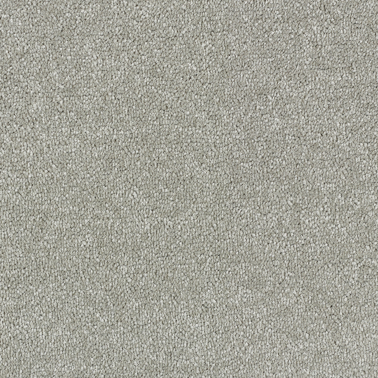 Abingdon Stainfree Satin Touch - Velvet Carpet