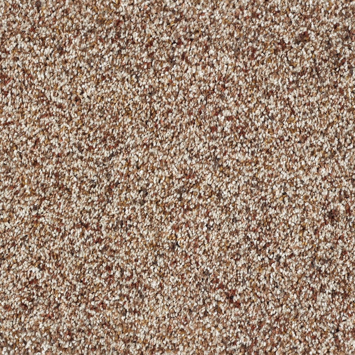 Abingdon Wild Silk - Treasure Island Carpet