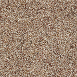 Abingdon Wild Silk - Treasure Island Carpet