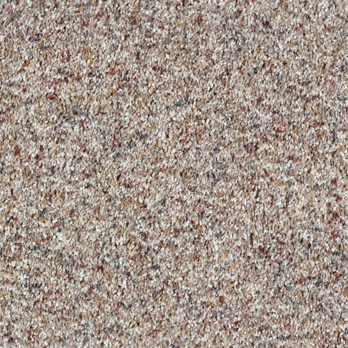 Abingdon Wild Silk - Confetti Carpet