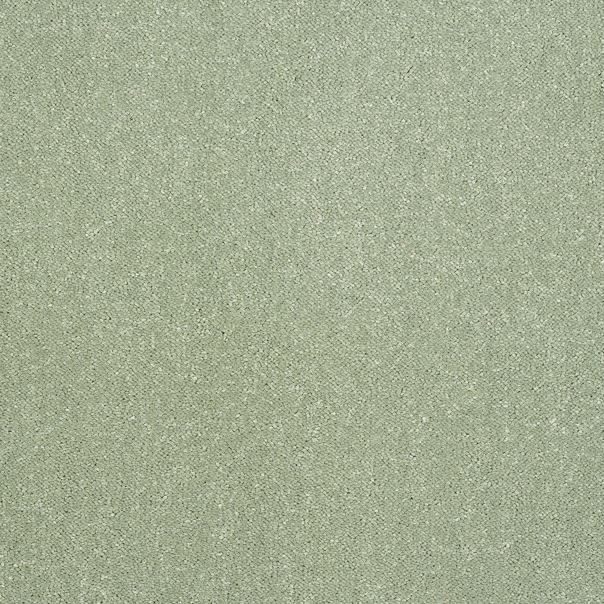 Abingdon Pure Elegance - Putting Green Carpet