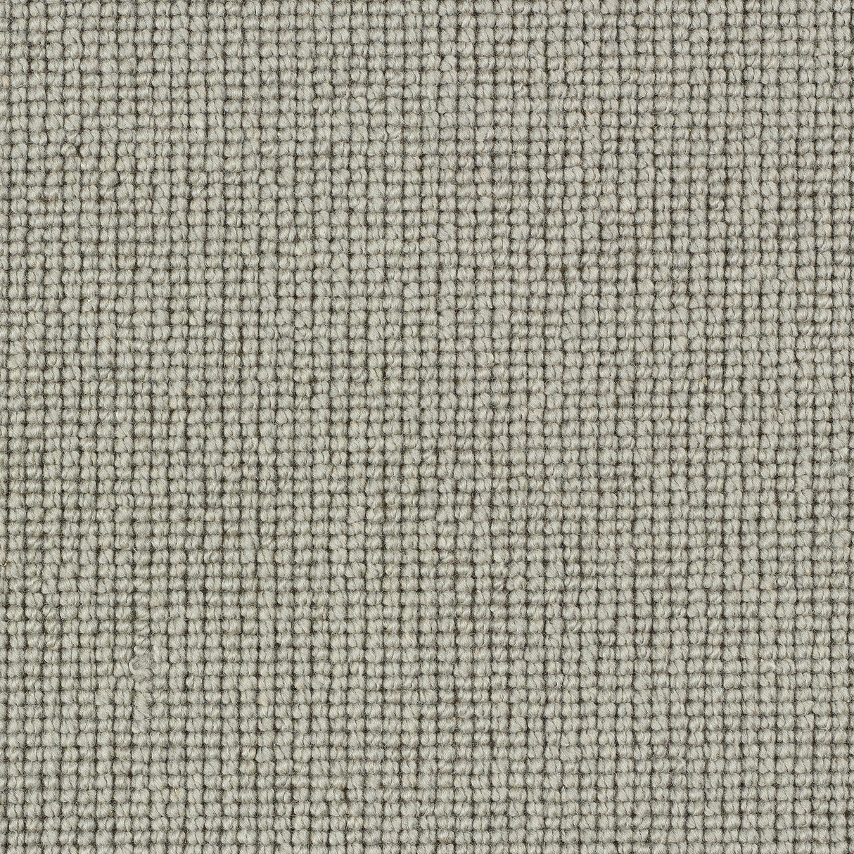 Abingdon Charter Plain Loop - Merino Carpet