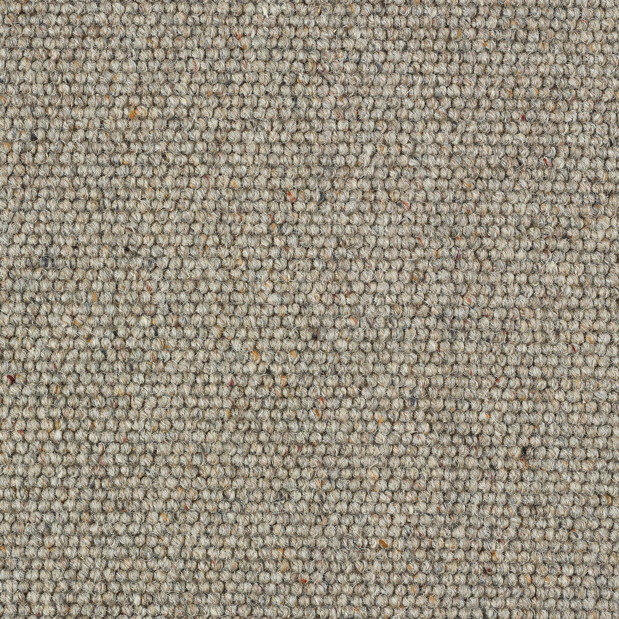 Abingdon Charter Berber Loop - Dapple Carpet