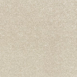 Abingdon Stainfree Satin Touch - Calico Carpet