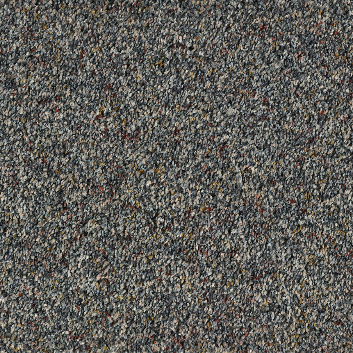 Abingdon Wild Silk - Belgravia Carpet