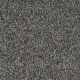 Abingdon Wild Silk - Belgravia Carpet