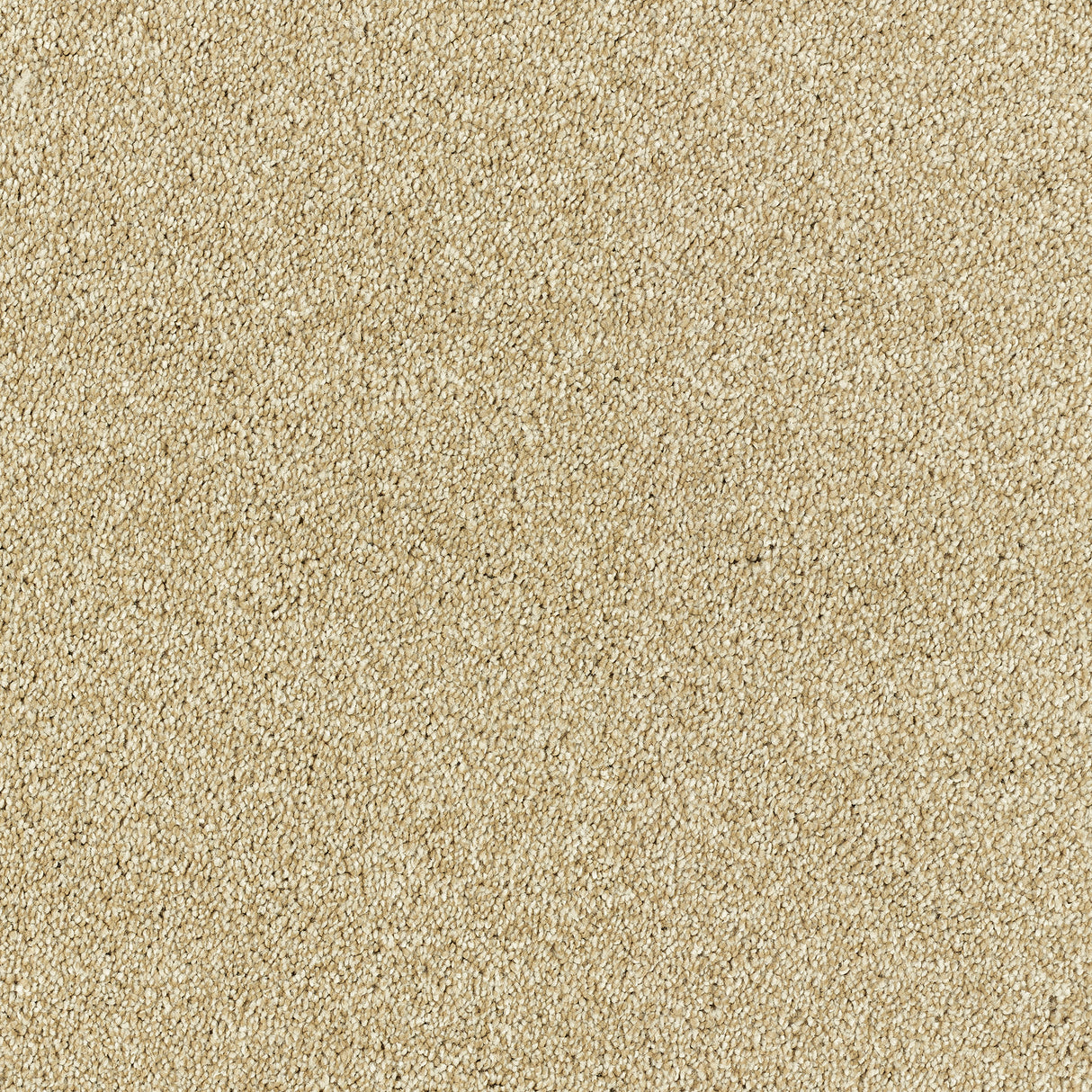 Abingdon Deep Feelings - Cornsilk Carpet