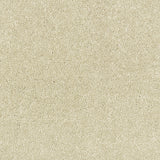 Abingdon Stainfree Satin Touch - Cotton Carpet