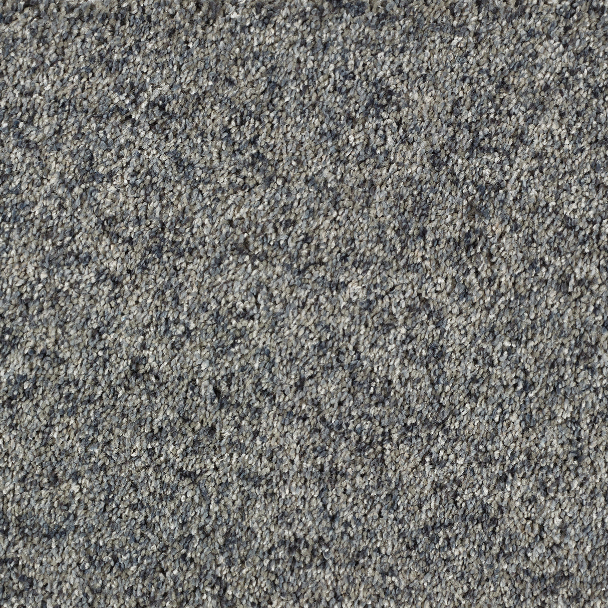 Abingdon Wild Silk - Silver Spoon Carpet