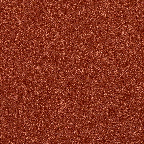 Abingdon Stainfree Caress - Terracotta - 5m x 3.10m Carpet Remnant