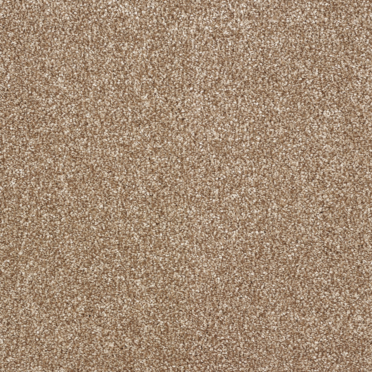 Abingdon Stainfree Panache - Cappuccino Carpet