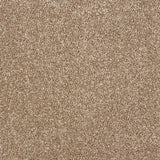 Abingdon Stainfree Panache - Cappuccino Carpet