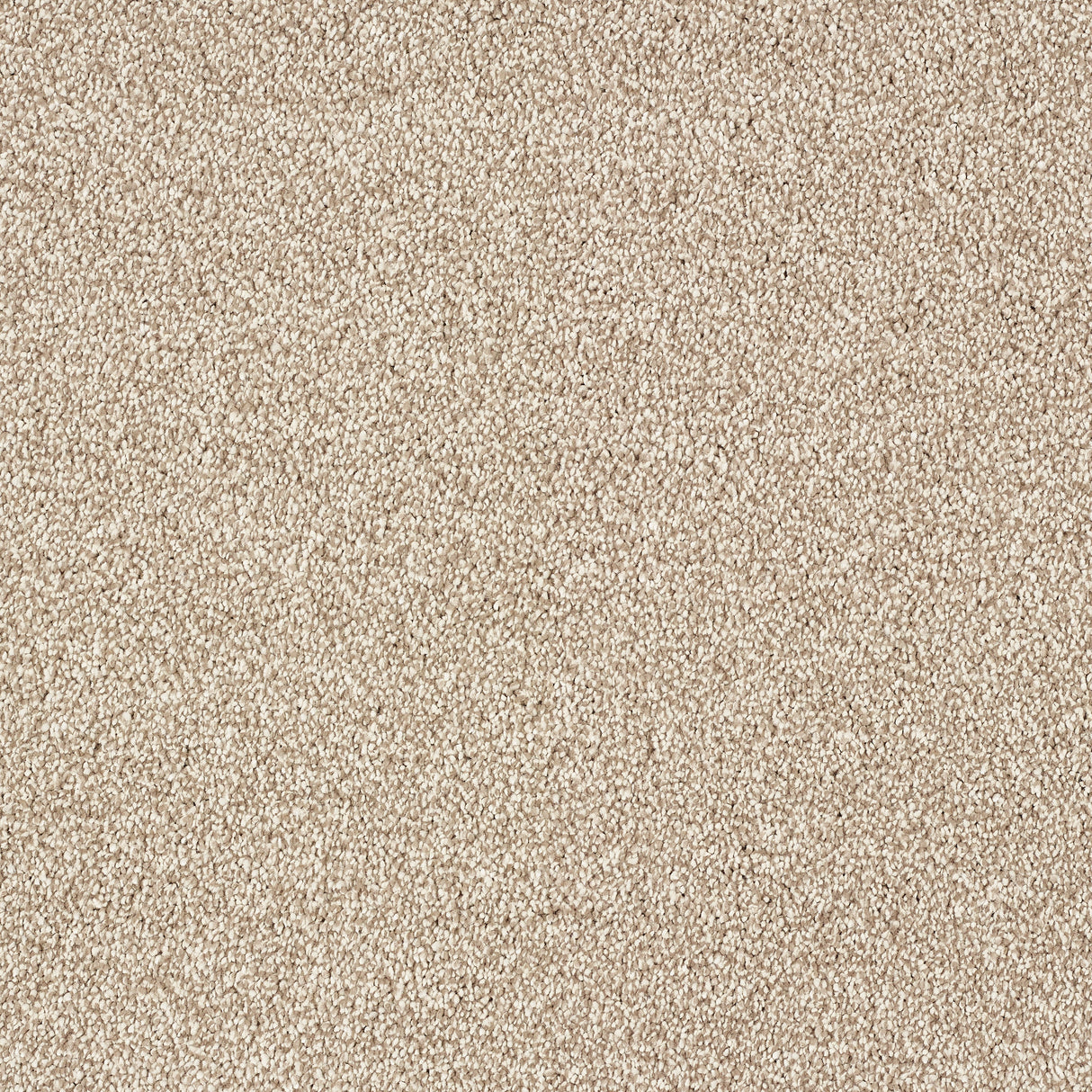 Abingdon Stainfree Panache - Nutmeg Carpet