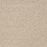 Abingdon Stainfree Panache - Nutmeg Carpet