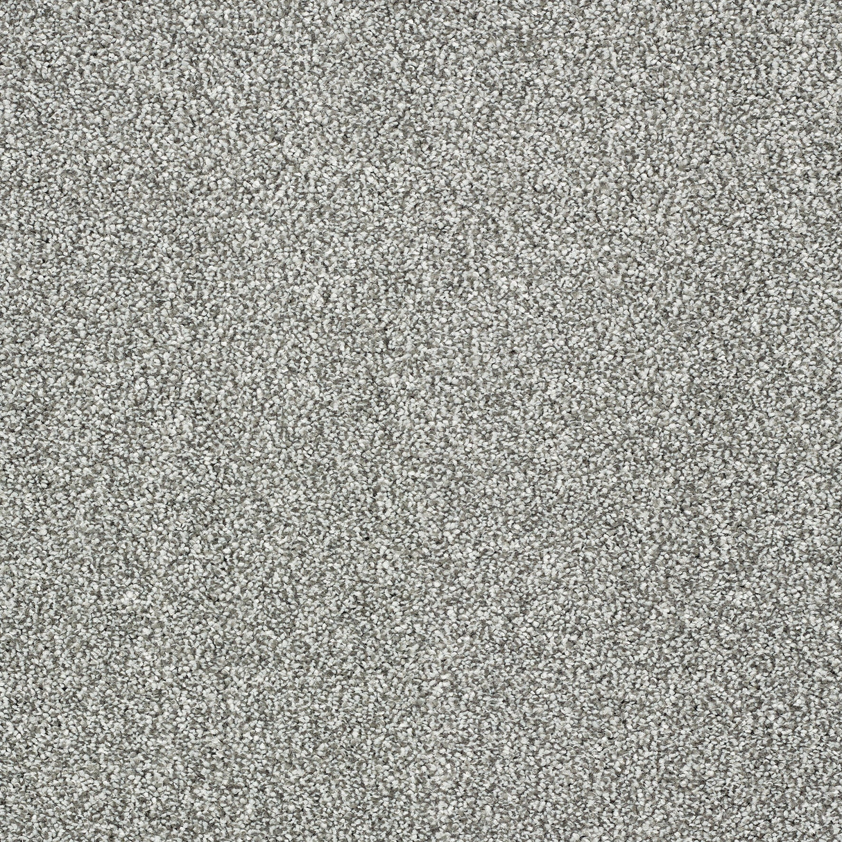 Abingdon Stainfree Panache - Silver Dollar Carpet