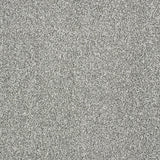 Abingdon Stainfree Panache - Silver Dollar Carpet