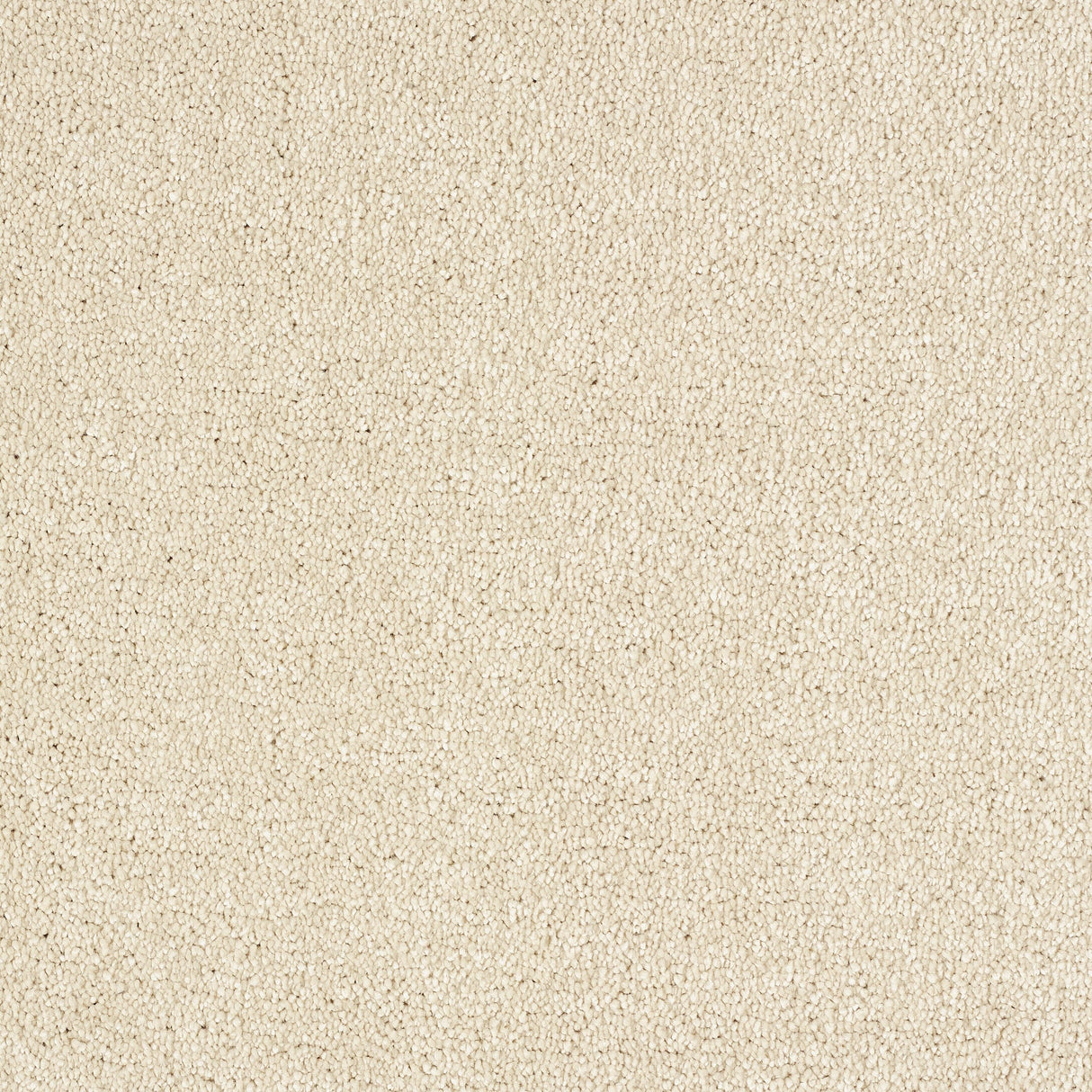 Abingdon Stainfree Panache - Soft Honey Carpet