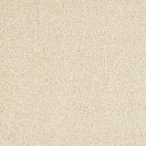 Abingdon Stainfree Panache - Soft Honey Carpet