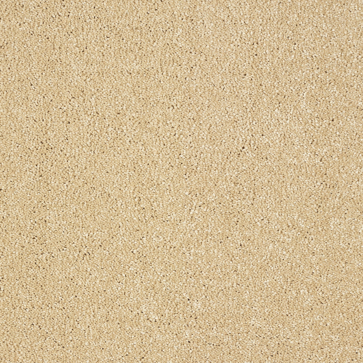 Abingdon Stainfree Panache - Seashell Carpet