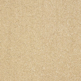 Abingdon Stainfree Panache - Seashell Carpet