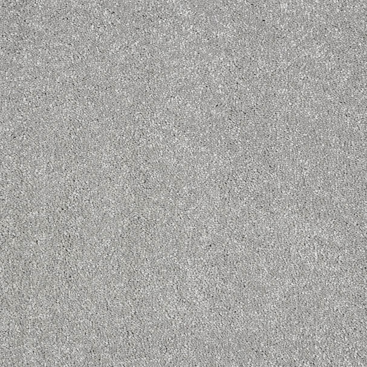 Abingdon Stainfree Panache - Silver Bullet Carpet