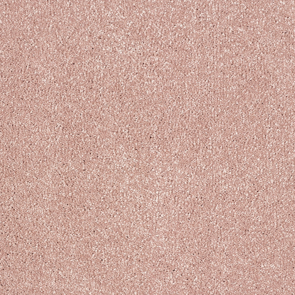 Abingdon Stainfree Panache - Dusky Pink Carpet