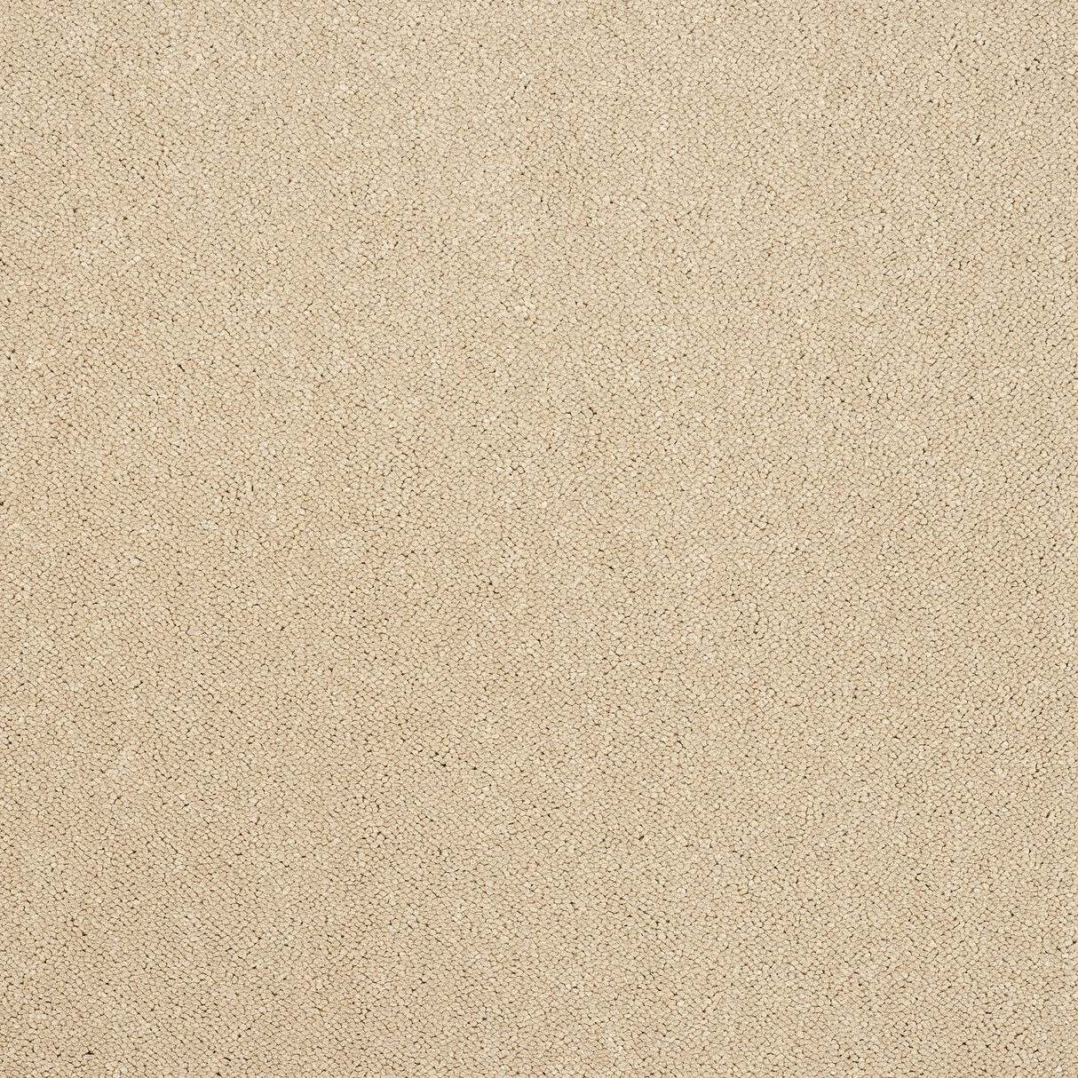 Abingdon Captivation - Linen Wash Carpet