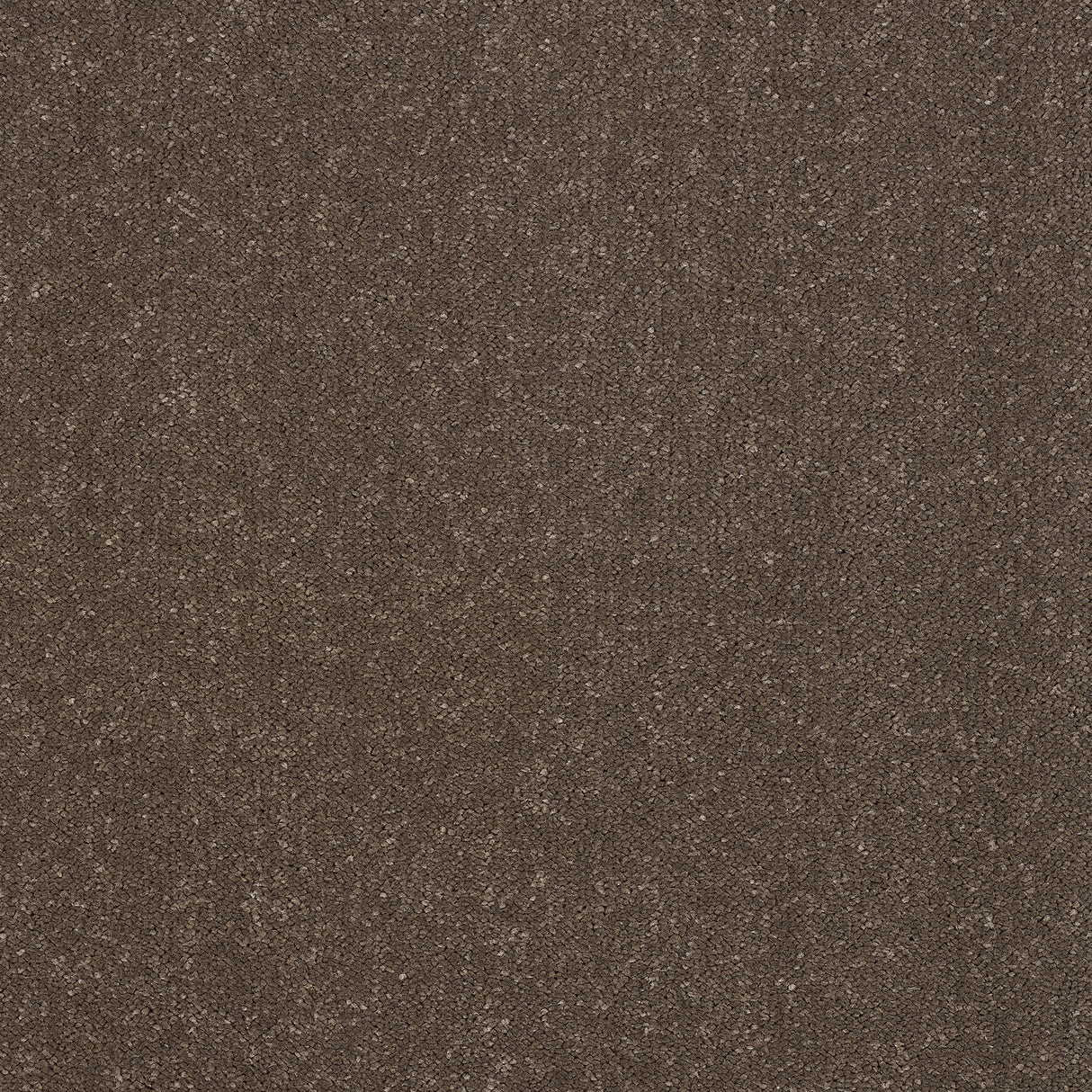 Abingdon Captivation - Pentland Carpet