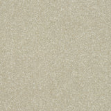 Abingdon Maximus - Dove - 4m x 3.50m Carpet Remnant