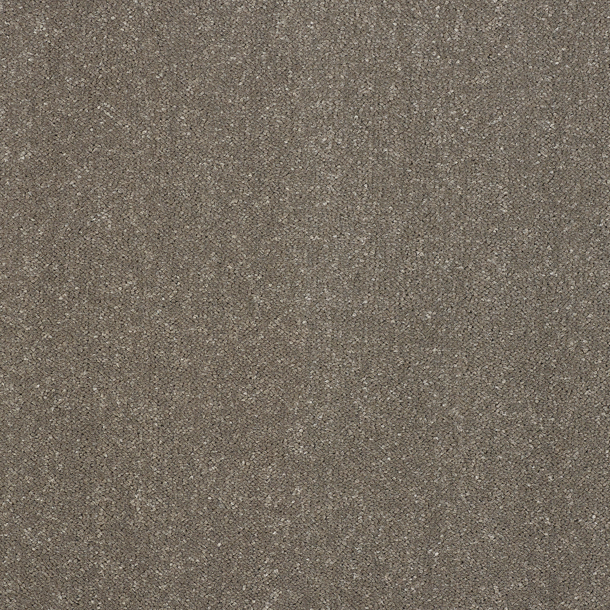 Abingdon Pure Elegance - Seneca Rock Carpet