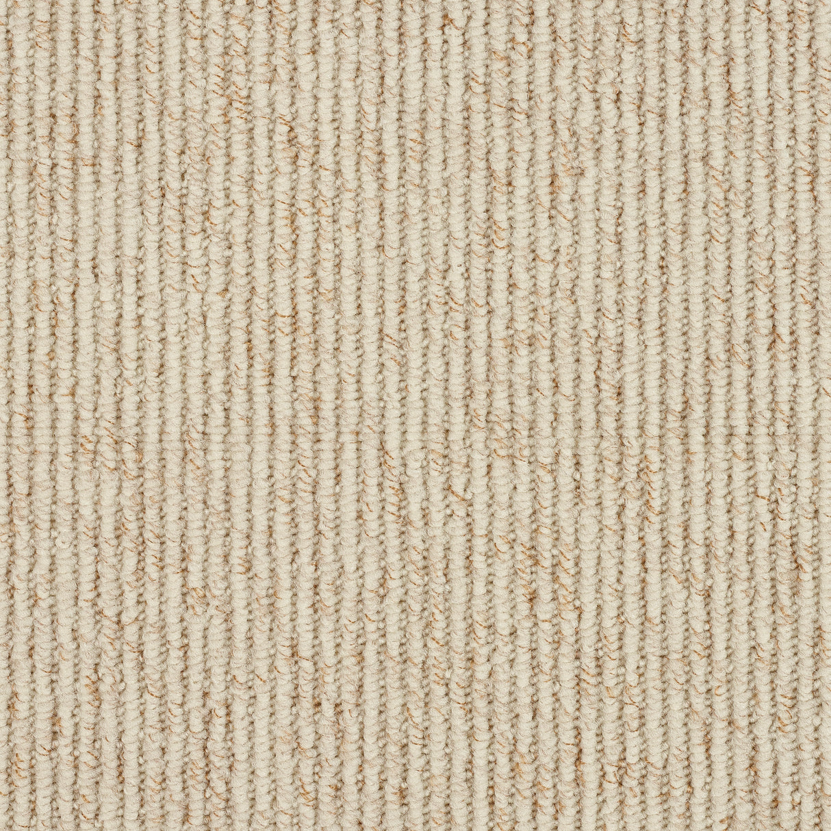 Abingdon Stainfree Country Linear - Ivory - 2.50m x 4.60m Carpet Remnant