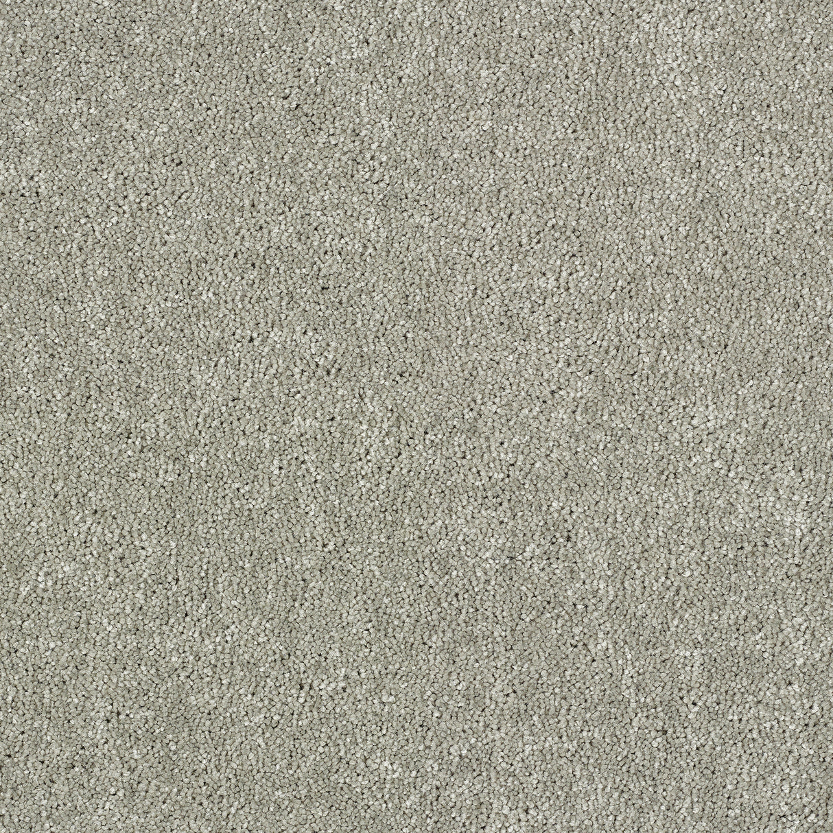 Abingdon Lasting Romance - Glacier Carpet