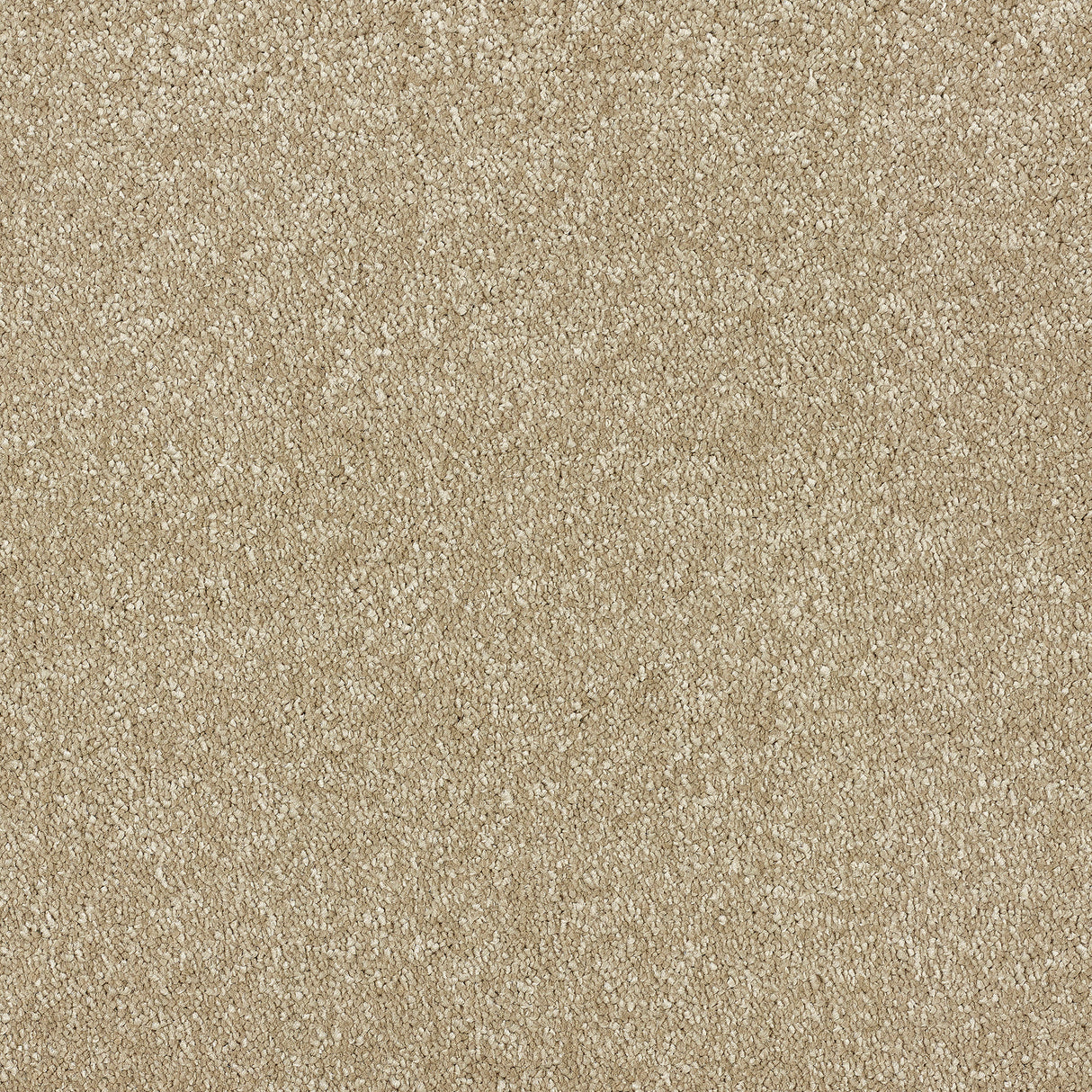 Abingdon Stainfree Satin Touch - Chennile Carpet