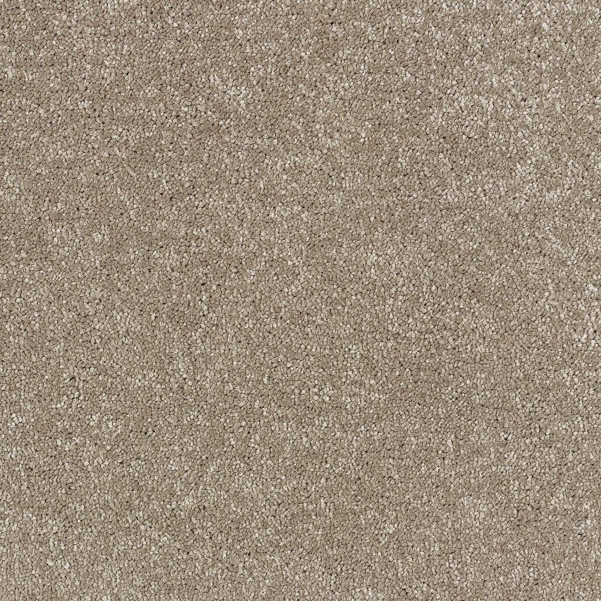 Abingdon Stainfree Satin Touch - Cashmere Carpet