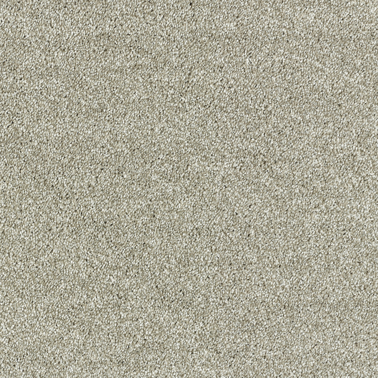 Abingdon Deep Feelings - Dove Grey Carpet