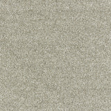 Abingdon Deep Feelings - Dove Grey Carpet