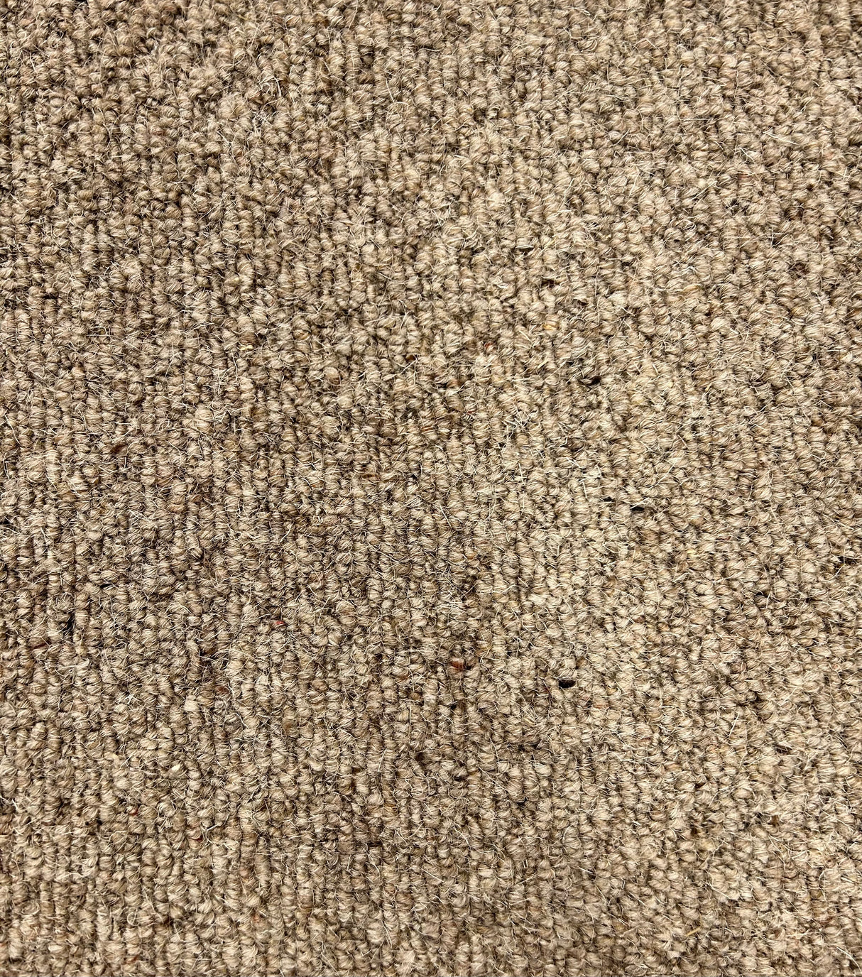 Bleinheim Structure - 374 Wheat - 100% Wool Berber Carpet (Limited Stock)