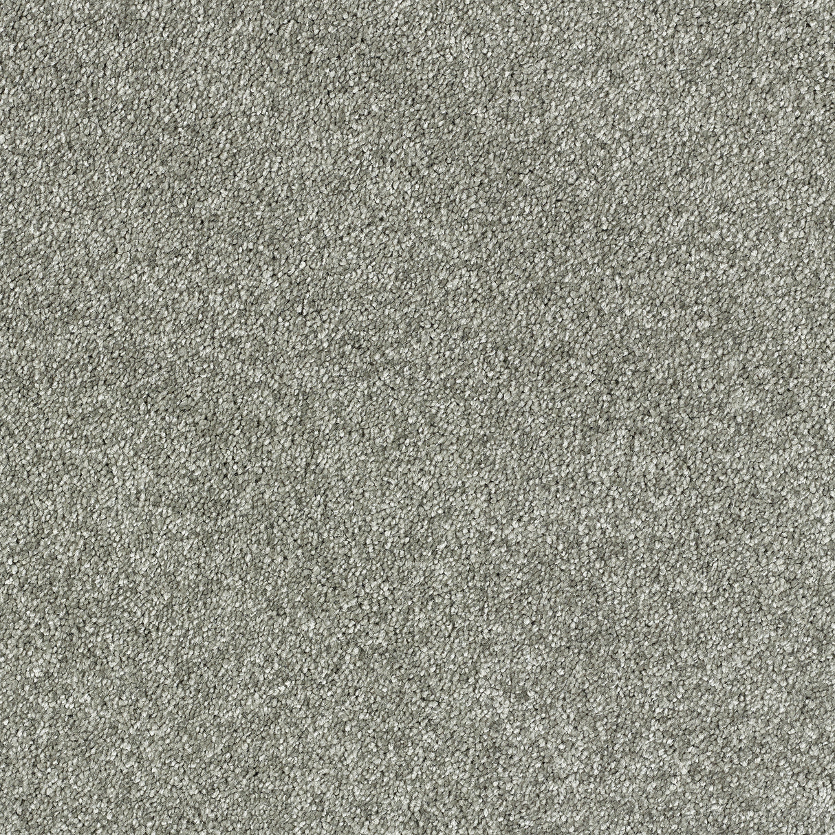 Abingdon Deep Feelings - Pewter Carpet